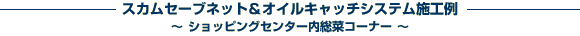 �X�J���Z�[�u�l�b�g���I�C���L���b�`�V�X�e��